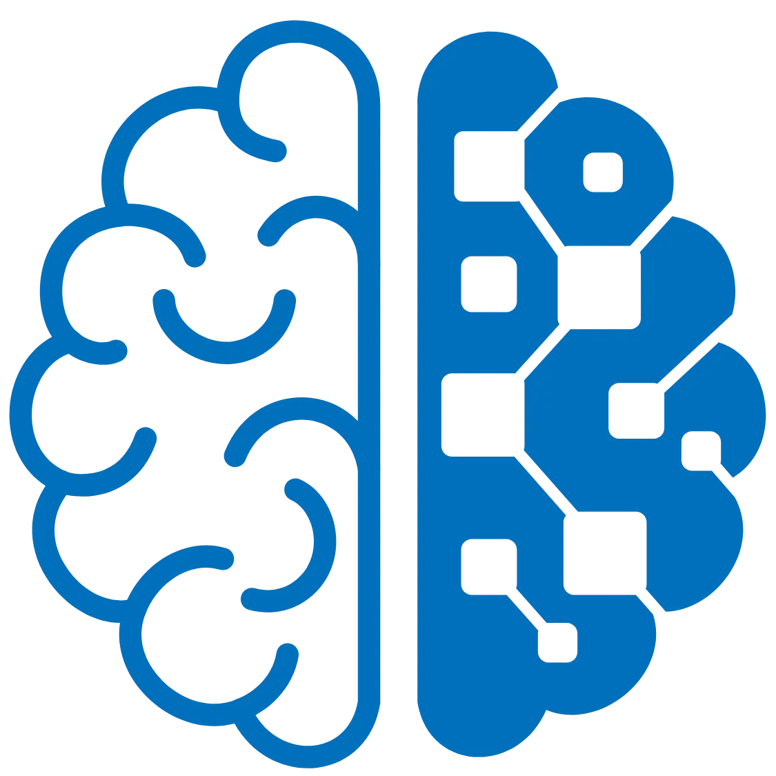 brain